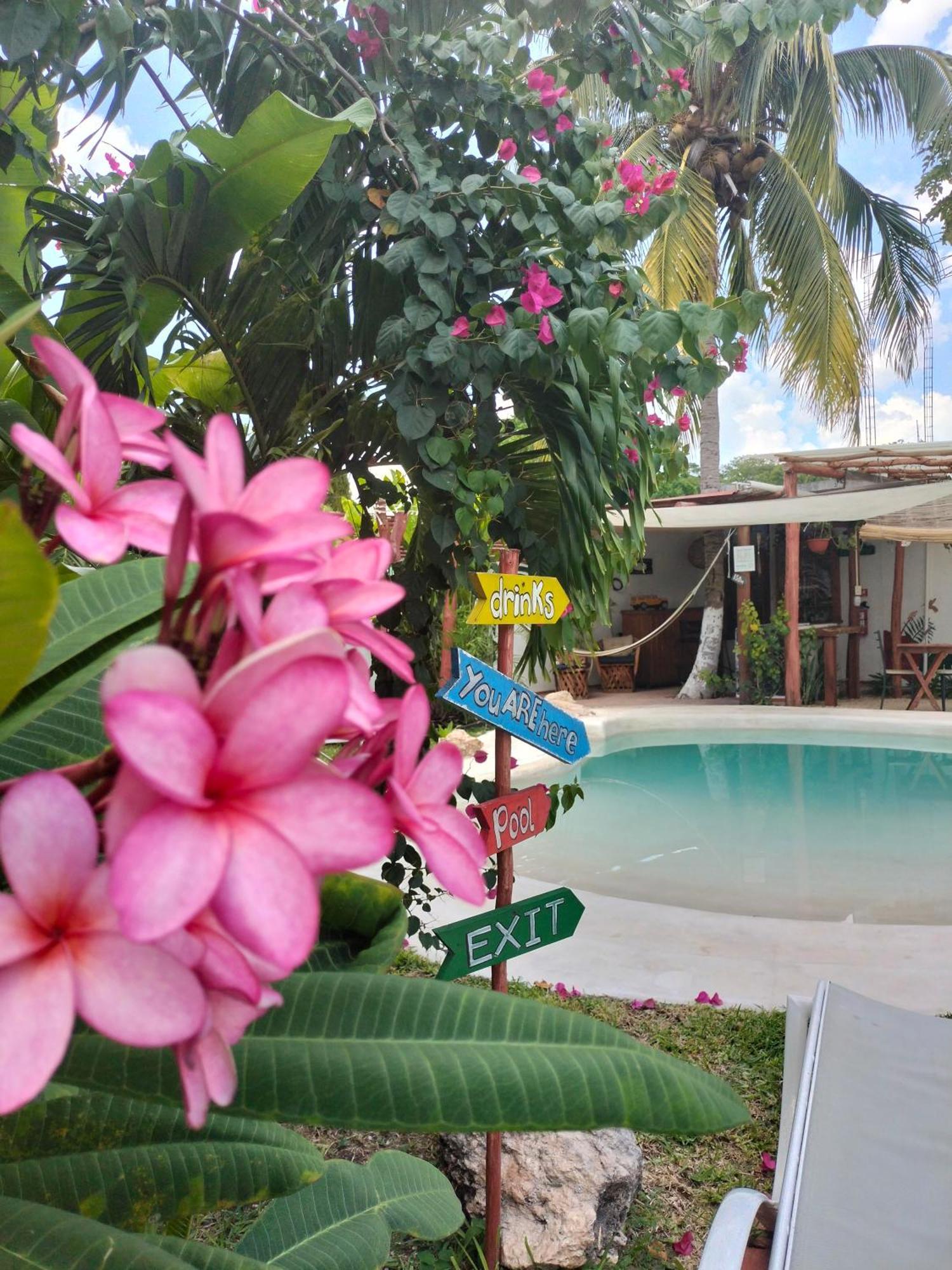 Teki-sha Home&suites Bed & Breakfast Bacalar