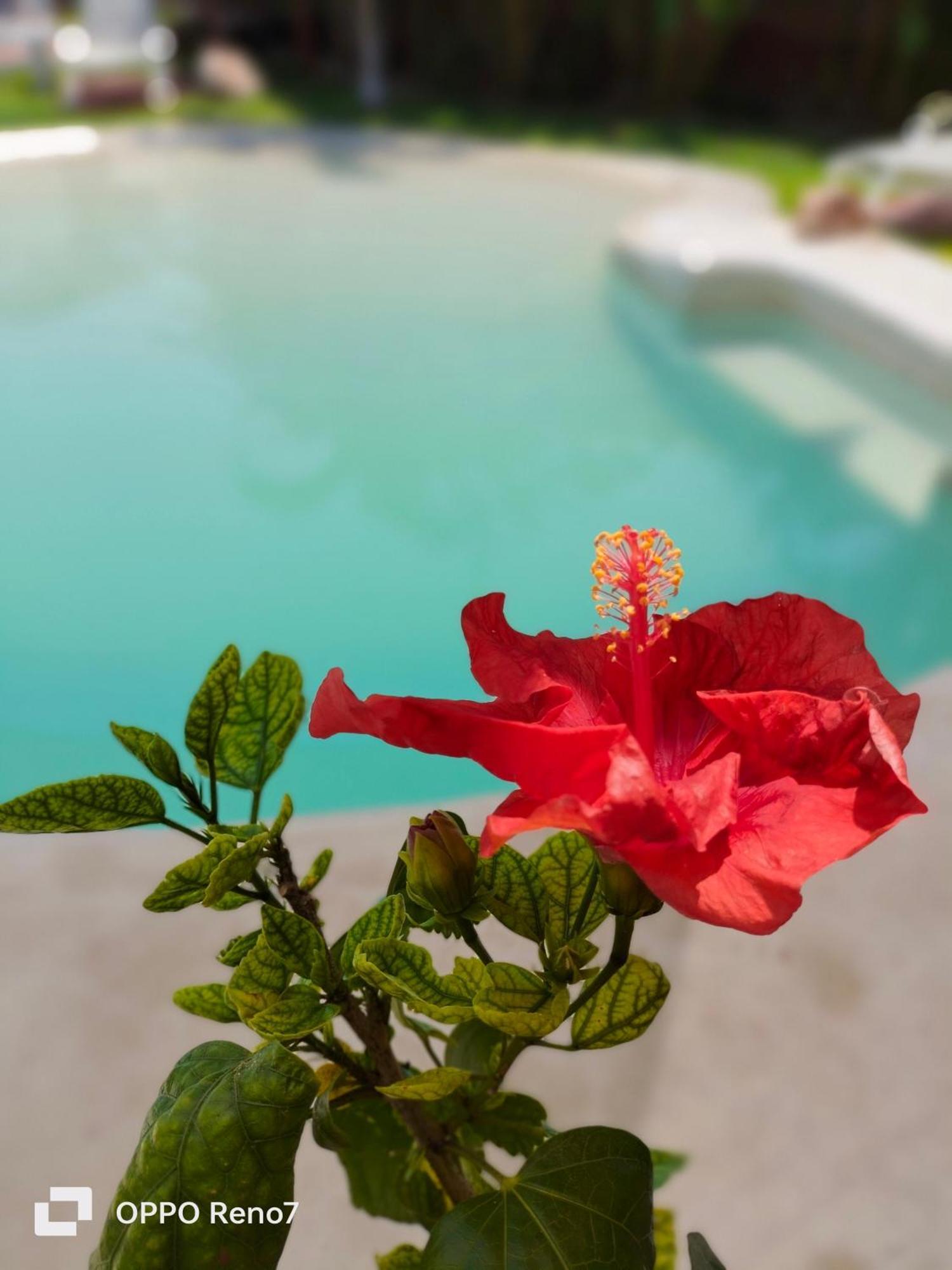 Bed & Breakfast Teki-sha Home&suites